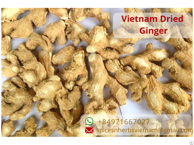 Dehydrated Dried Ginger