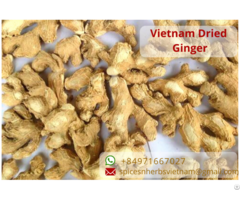 Dehydrated Dried Ginger