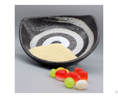 Halal Food Grade Gelatin 120 300 Bloom
