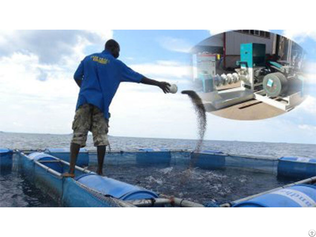 Aquatic Feed Pellet Mill Is The Best Choice For Shrimp Farming