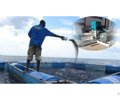 Aquatic Feed Pellet Mill Is The Best Choice For Shrimp Farming