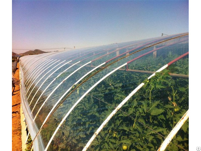 Anti Uv Greenhouse Film