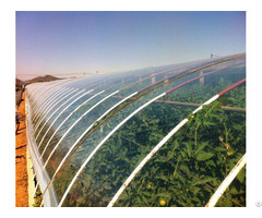Anti Uv Greenhouse Film