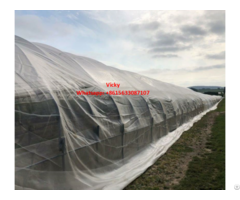 Anti Insect Net For Greenhouse