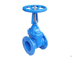 Rising Stem Resilient Seated Gate Valve