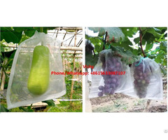 Insect Net Bag