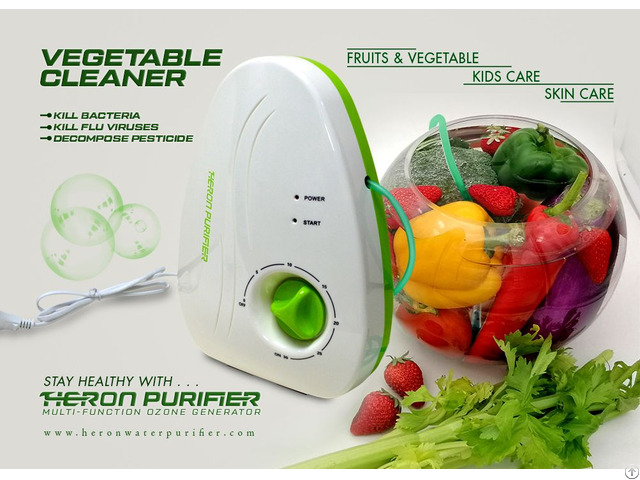 Heron Ozone Generator Ozonizer For Fruit Vegetable Cleaner