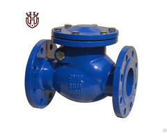 Flange Check Valve