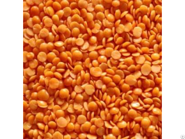 Red Lentils For Export From Canada