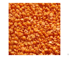 Red Lentils For Export From Canada