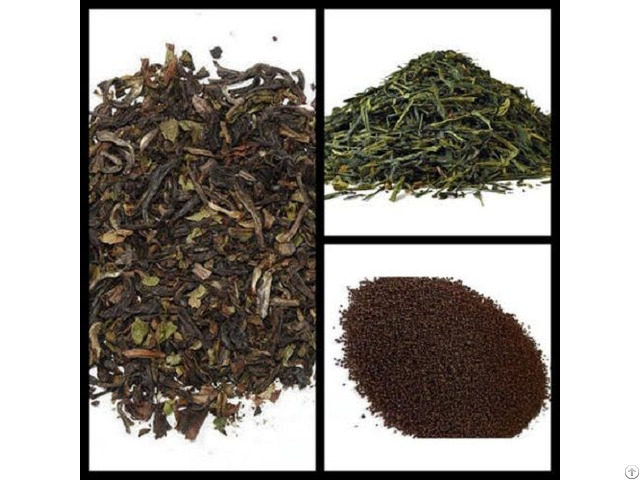Tea For Export From India