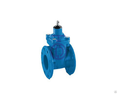 Bare Shaft Gate Valve