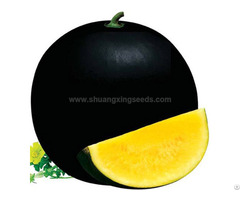 Black Girl 2 Chinese Yellow Flesh Watermelon Seeds For Planting