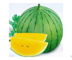 European And American Markets Hybrid F1 Watermelon Seeds