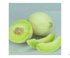 Hybrid F1 Honeydew Melon Seeds For Planting