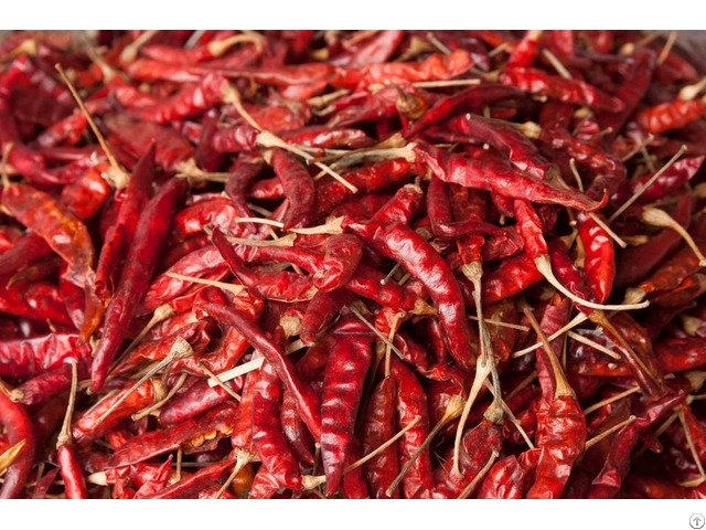 Red Chilli