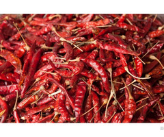 Red Chilli