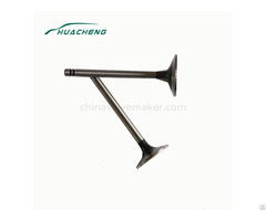 Machinery Parts Intake Valve