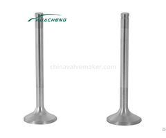 Truck Spare Parts Engine Valve For Steyr Wd615 68