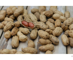 Peanuts For Sale