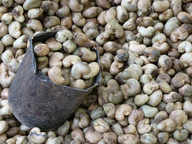 Cashew Nuts For Sale