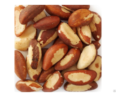 Brazil Nuts For Sale