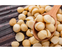 Macadamia Nuts For Sale