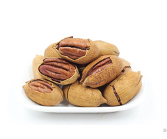 Pecan Nuts For Sale