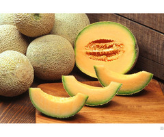 Melon For Sale