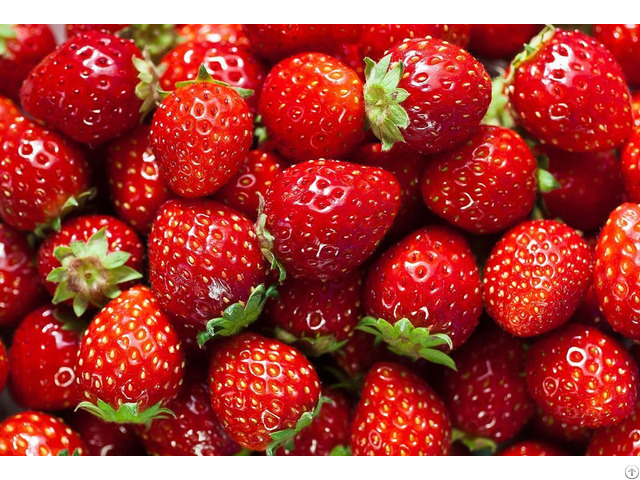 Strawberries For Sale