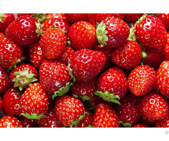 Strawberries For Sale