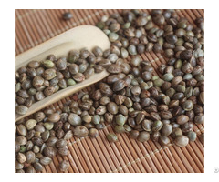 Hemp Seeds For Sale