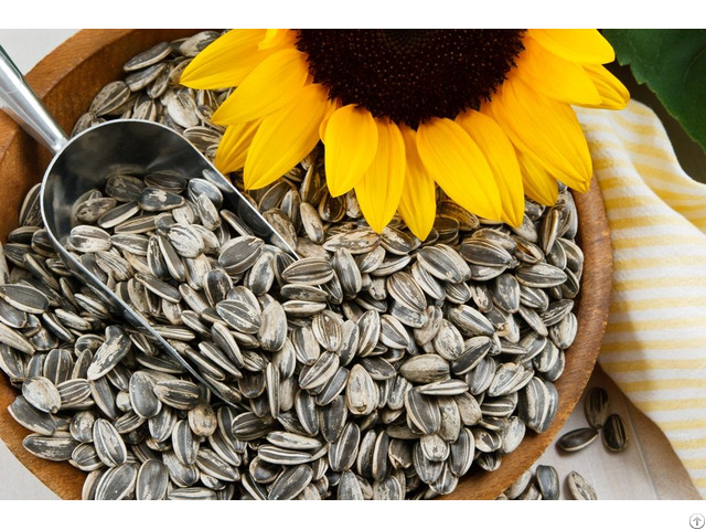 Sunflower Seeds For Sale