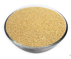 Amaranth Grains For Sale