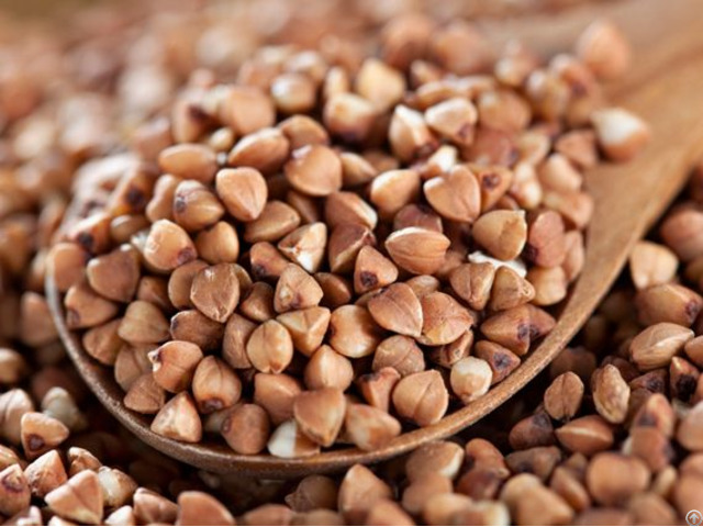 Buckwheat For Sale