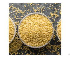 Millet For Sale