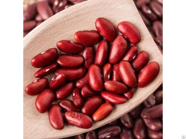 Red Kidney Beans For Sale