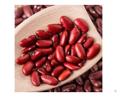 Red Kidney Beans For Sale