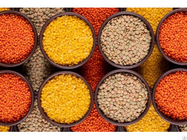 Red Yellow And Brown Lentils For Sale
