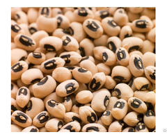 Black Eyed Peas For Sale