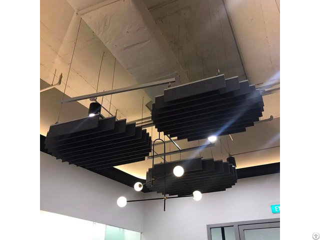 Acoustic Ceiling Baffle In Working Space