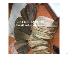 Areca Spathe Fan Special Product From Vietnam