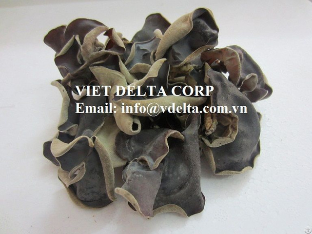 Dried Black Fungus Mushroom Origin Vietnam