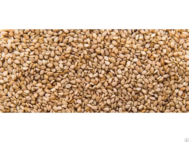 Egyptian Roasted Sesame Seeds