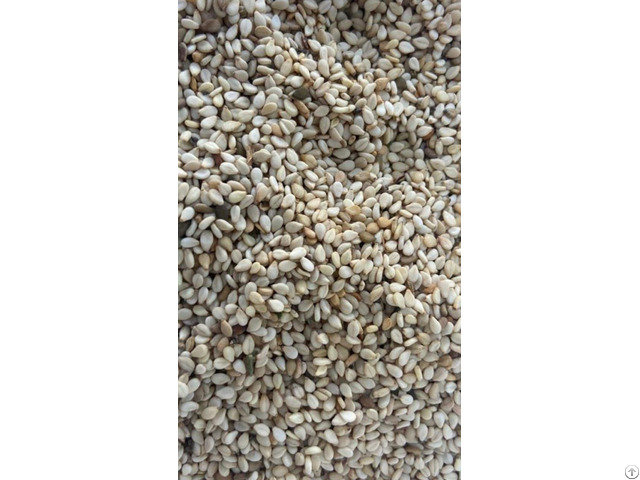 Natural White Sesame
