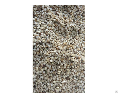 Natural White Sesame