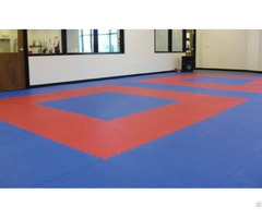 Gym Sport Mats