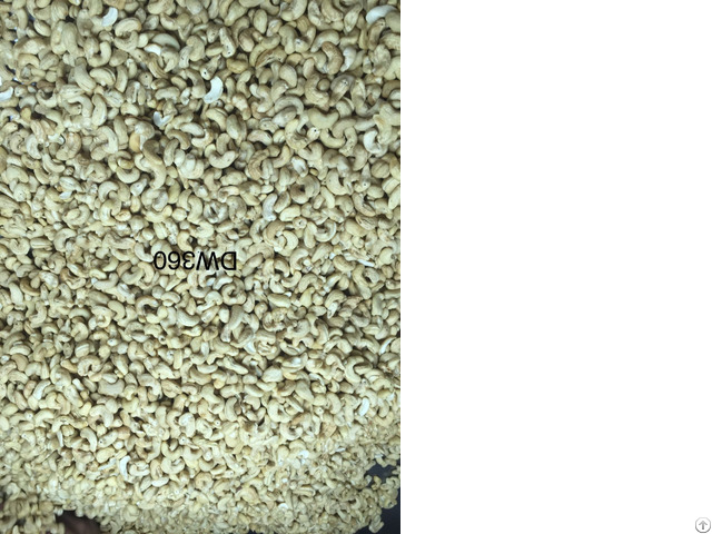 Cashew Kernel Dw360