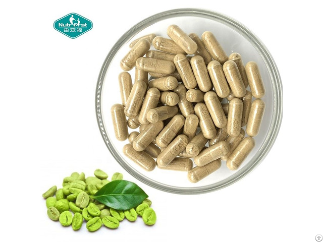 Green Tea Decaffeinated Extract Capsule