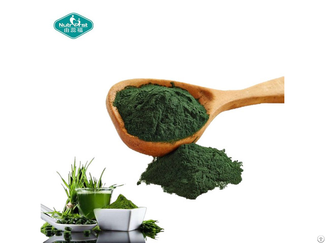 Gmp Factory Spirulina Powder